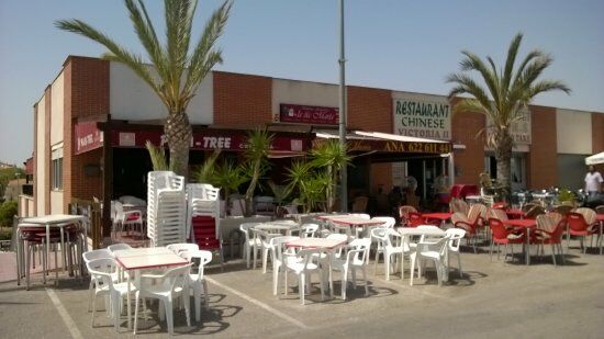 Palm Tree Bar