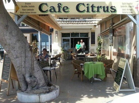 Cafe Citrus