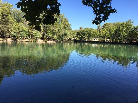 la Albufera de Anna