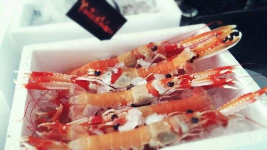 Tapas Canalla
