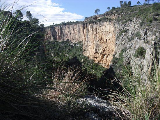 Puentes Colgantes