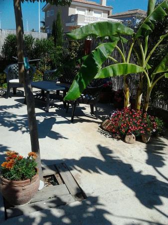 Monpiedra