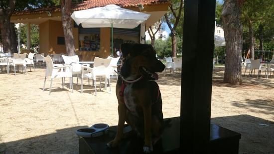 Isla Bonita