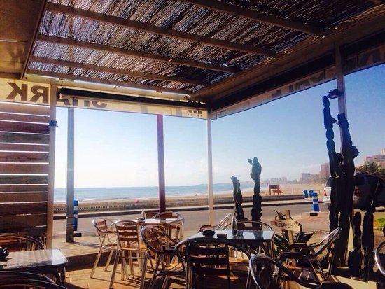 Shark Cafe