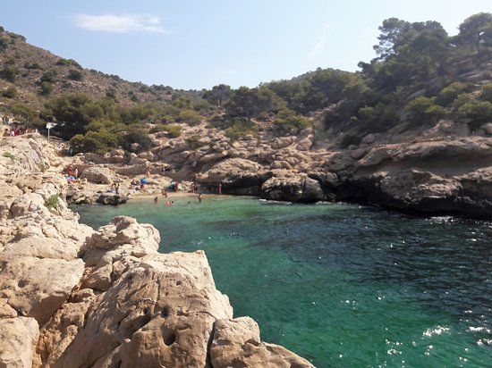 la Playa del Rincón del Conill