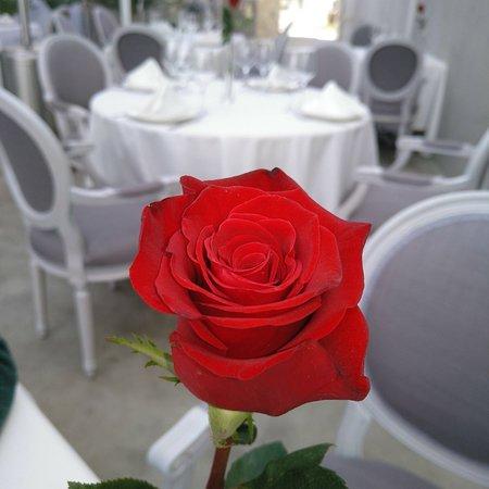 Aroma De Mar