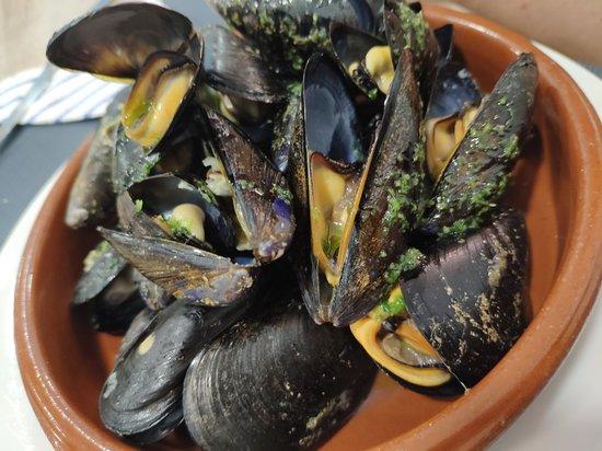 Lo raco de Vinaros