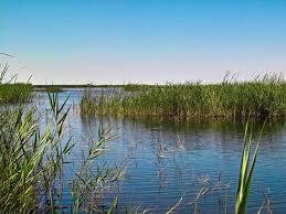 il Parque Natural del Prado de Cabanes-Torreblanca