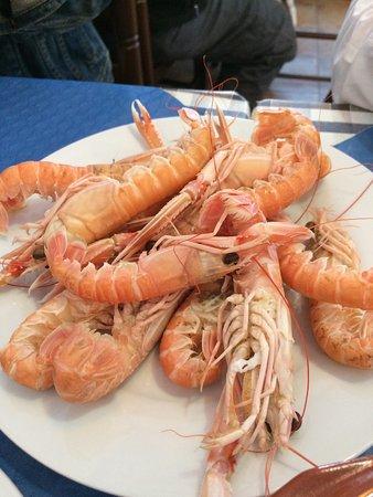 Hogar del Pescador