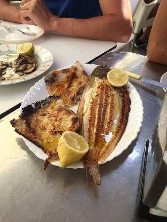 Bar Cafeteria Ristorante El Mercato