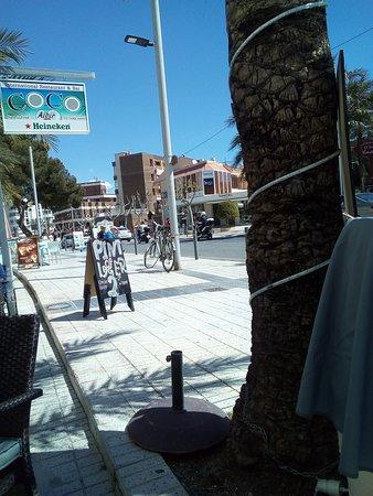 Coco Albir International Restaurant & Bar