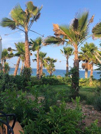 Oasis Beach