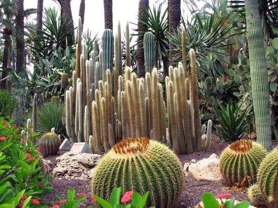 el Palmeral de Elche