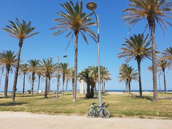 Playa Patacona