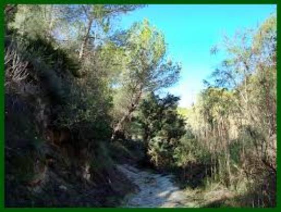 Ruta Senderista Rio Seco