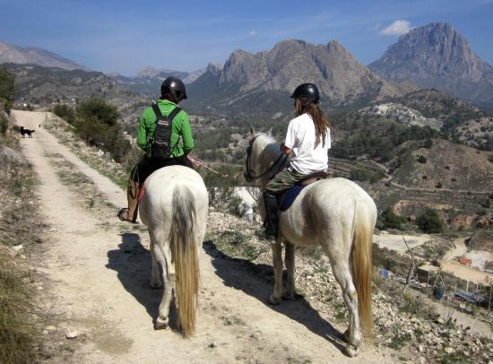 Hoof and Mountain Adventures
