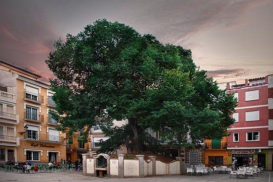 Oficina De Turismo