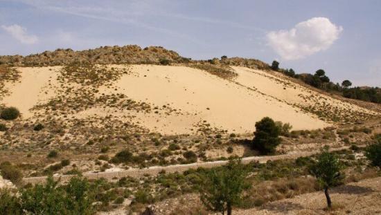 Arenal de Petrer