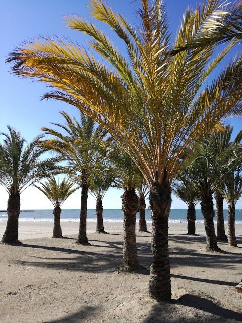 la Playa de Santa Pola