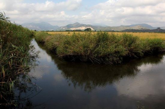 el Parque Natural del Marjal de Pego-Oliva