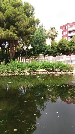el Jardín Botánico de Cullera