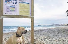 Playa Canina El Barranquet