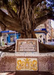 El Ficus Centenario