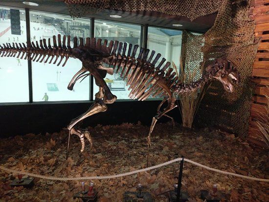 Dinopetrea