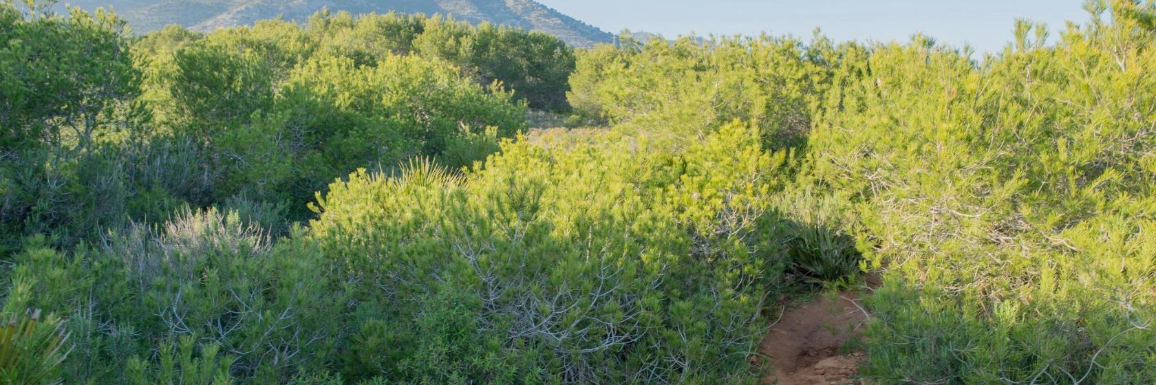 el Parque Natural de la Sierra de Irta
